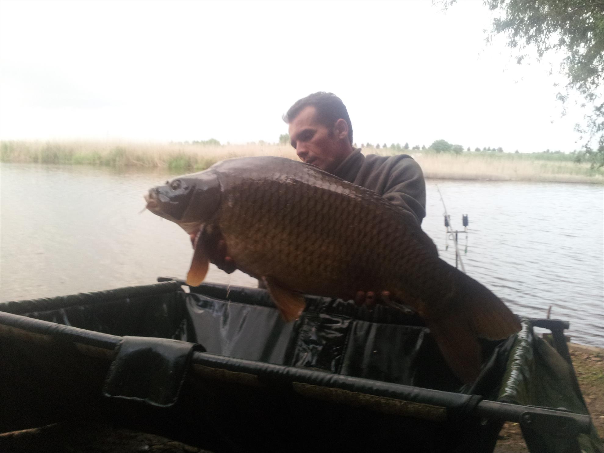 Tancabesti 1 - 4 iunie 2014 - 20140603203537.jpg